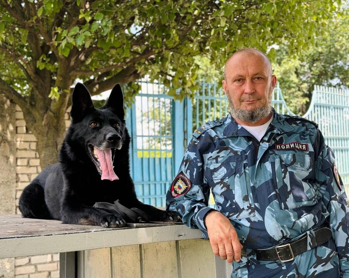 Британский кинолог раскрыла истинное значение виляющего хвоста у собак
