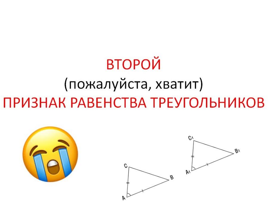 Эти признаки говорят о том, что не стоит трогать собаку. Будьте осторожны
