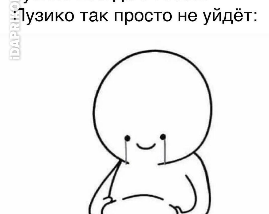 Греем пузико! Кинолог рассказал, как одеть собаку зимой