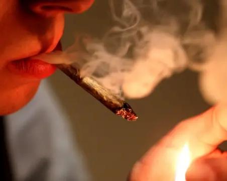Как курение может убить вашего питомца: последствия для собак