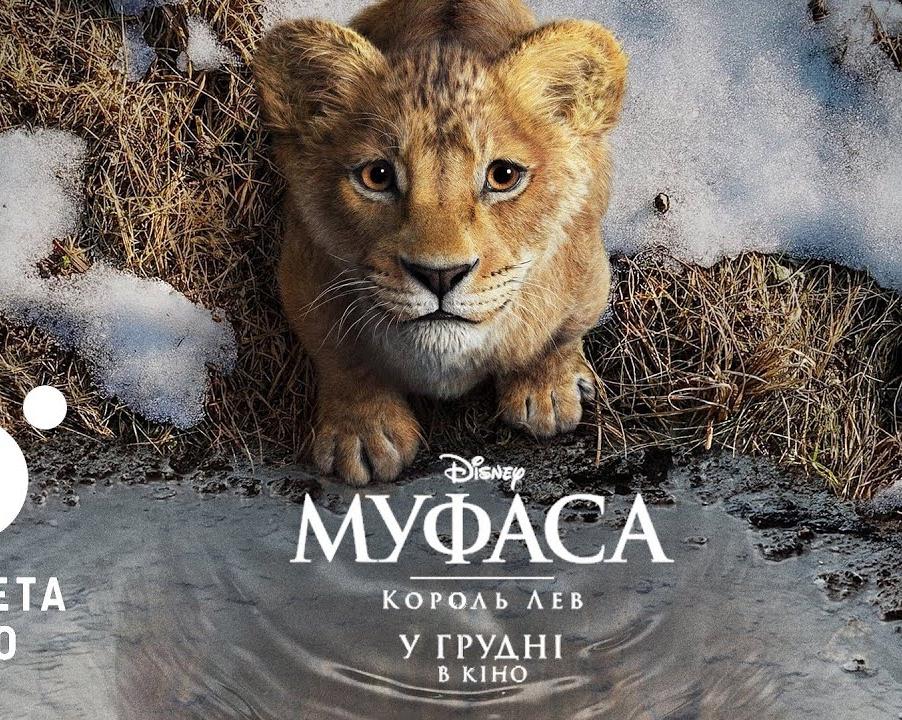 Лев - золотистый ретривер, Весы - пудель: какая вы порода собаки по знаку Зодиака