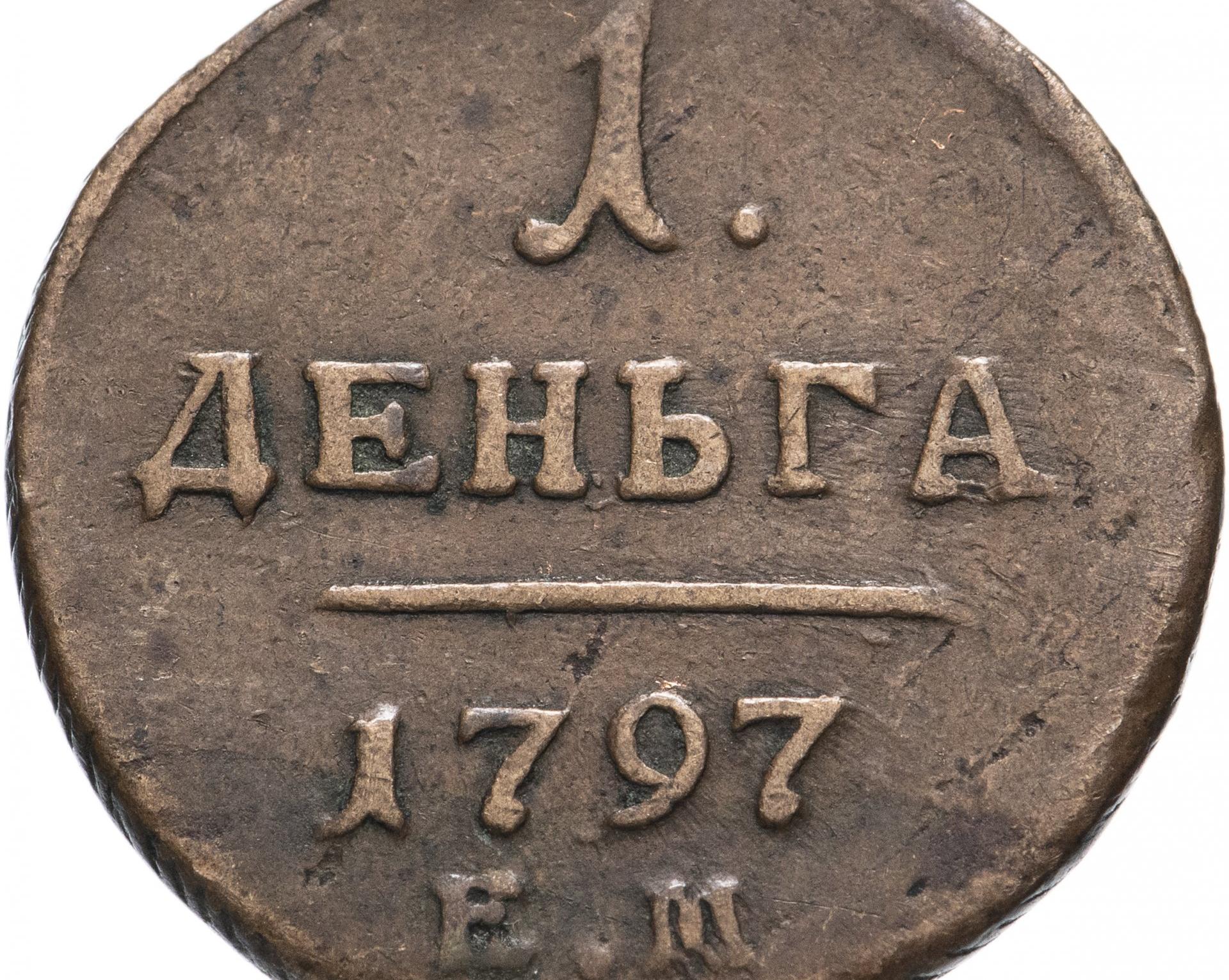 Ни денег, ни собаки: В Оренбурге девушка хотела купиться щенков чихуахуа, но была обманута