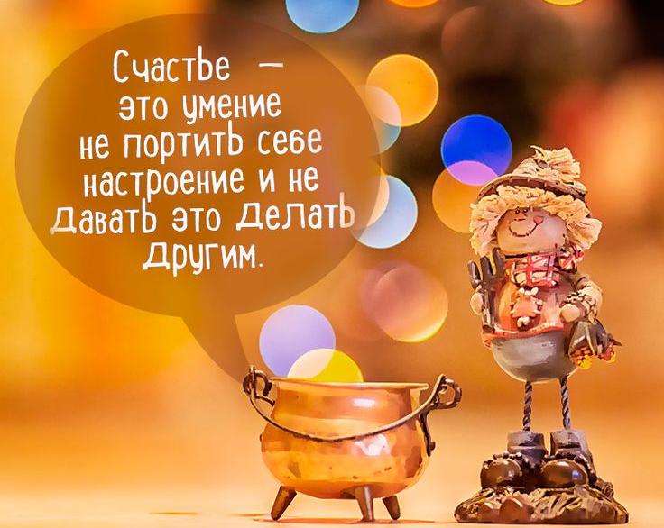 Новогодние настроения наших собак