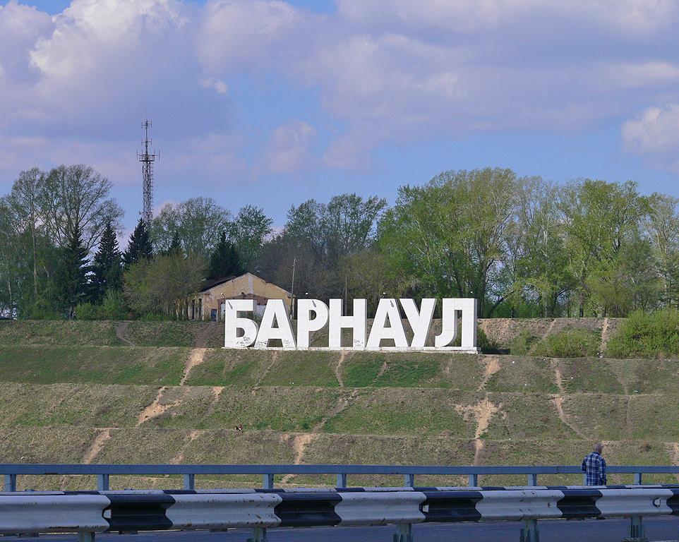 В Барнауле собака заранее начала праздновать Новый год и наелась конфет