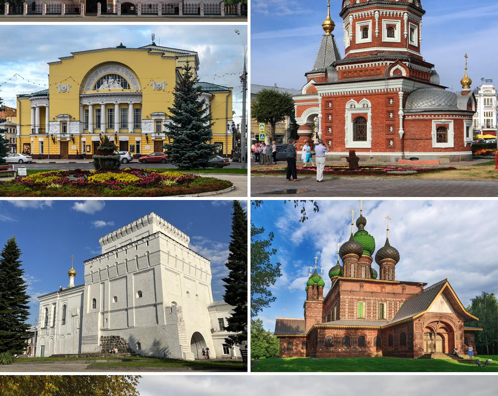 В Ярославле собаководов опять просят поберечь собак