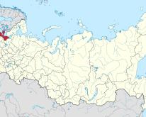 Во Владимирской области молодая и умная собака Нари хочет стать надежным другом