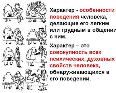 Вздорный характер: какие 3 породы собак не подходят для квартиры — дело не только в размере