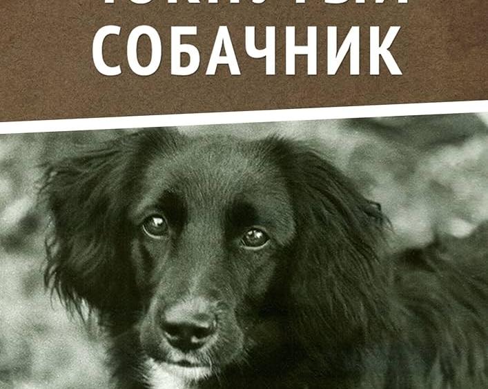 Зачем собачнику прогулки
